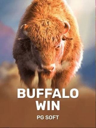 Buffalo Win